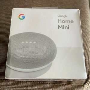 Google home mini